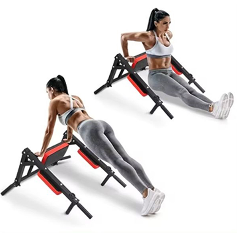 Heavy Duty Wall Mounted Parall - đánh giá và giá Home Bar And Gym